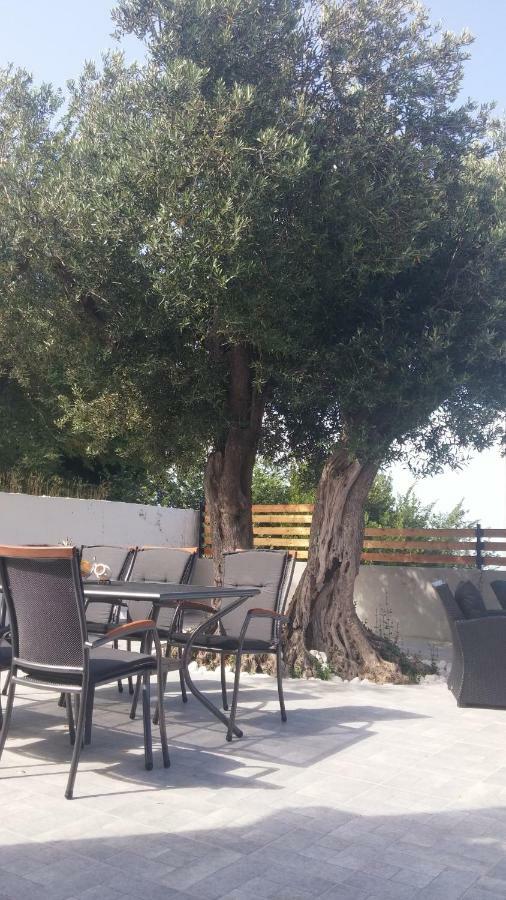 Apartment Eli - Sea View Млини Экстерьер фото